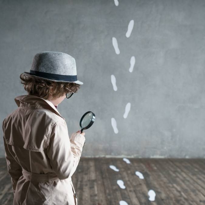 Detetive Particular Alto Alegre