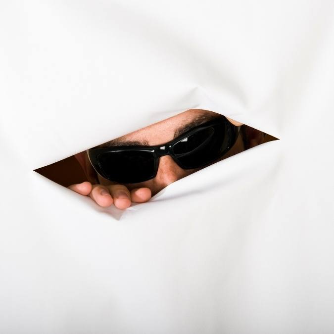 Detetive Particular Anita Garibaldi