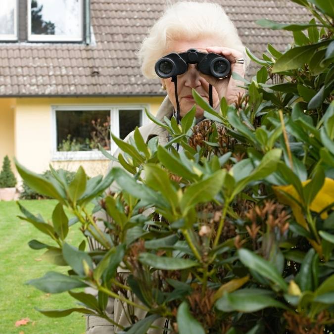 Detetive Particular Buritizeiro