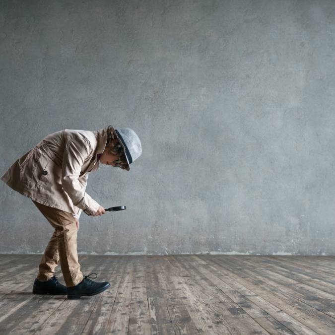 Detetive Particular Francisco sá