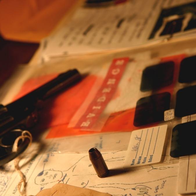 Detetive Particular Terezinha