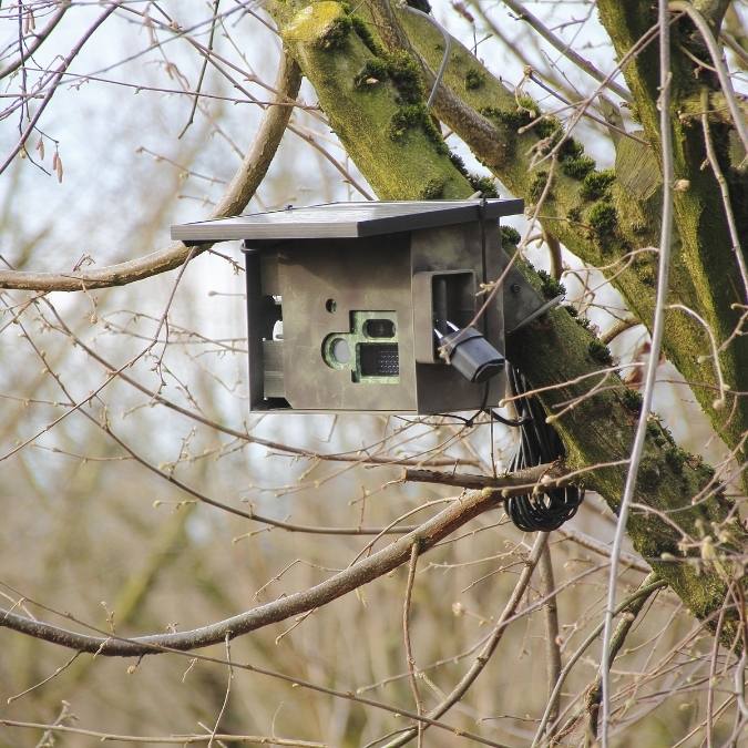 Detetive Particular em Sapucaia