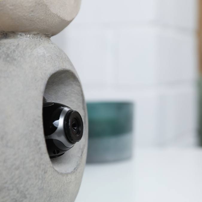 Detetive Particular em Trindade