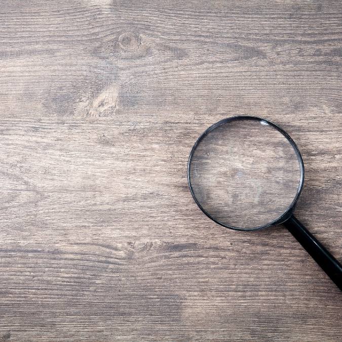 Investigador em Santa Cruz do Sul