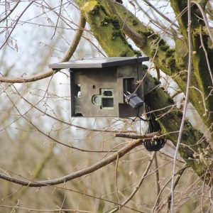 Necessito de um Investigador Particular